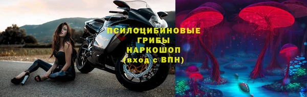 стаф Вязники