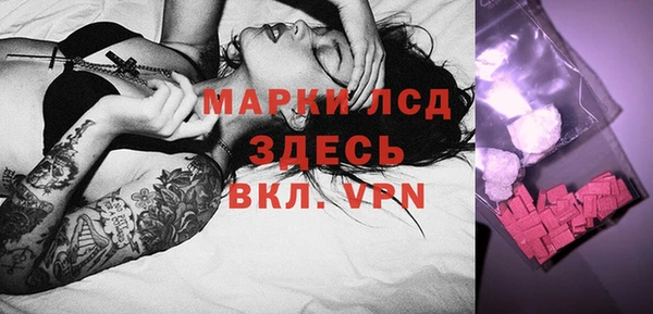 apvp Горняк