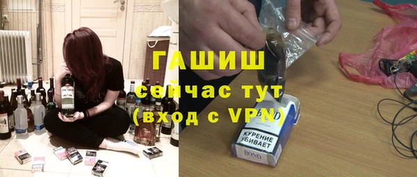 гидра Вяземский