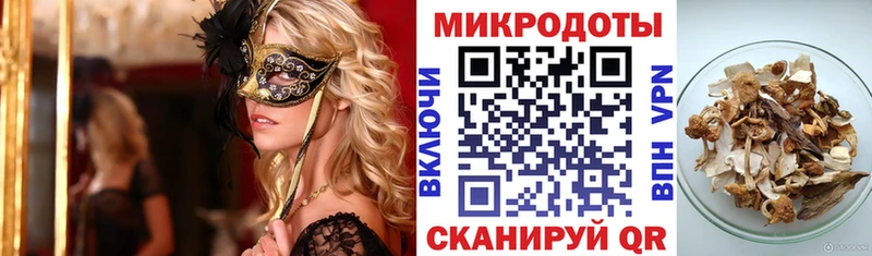 Галлюциногенные грибы Psilocybe  Красногорск 